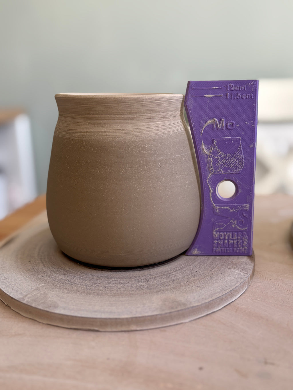 Vase Rib Bundle