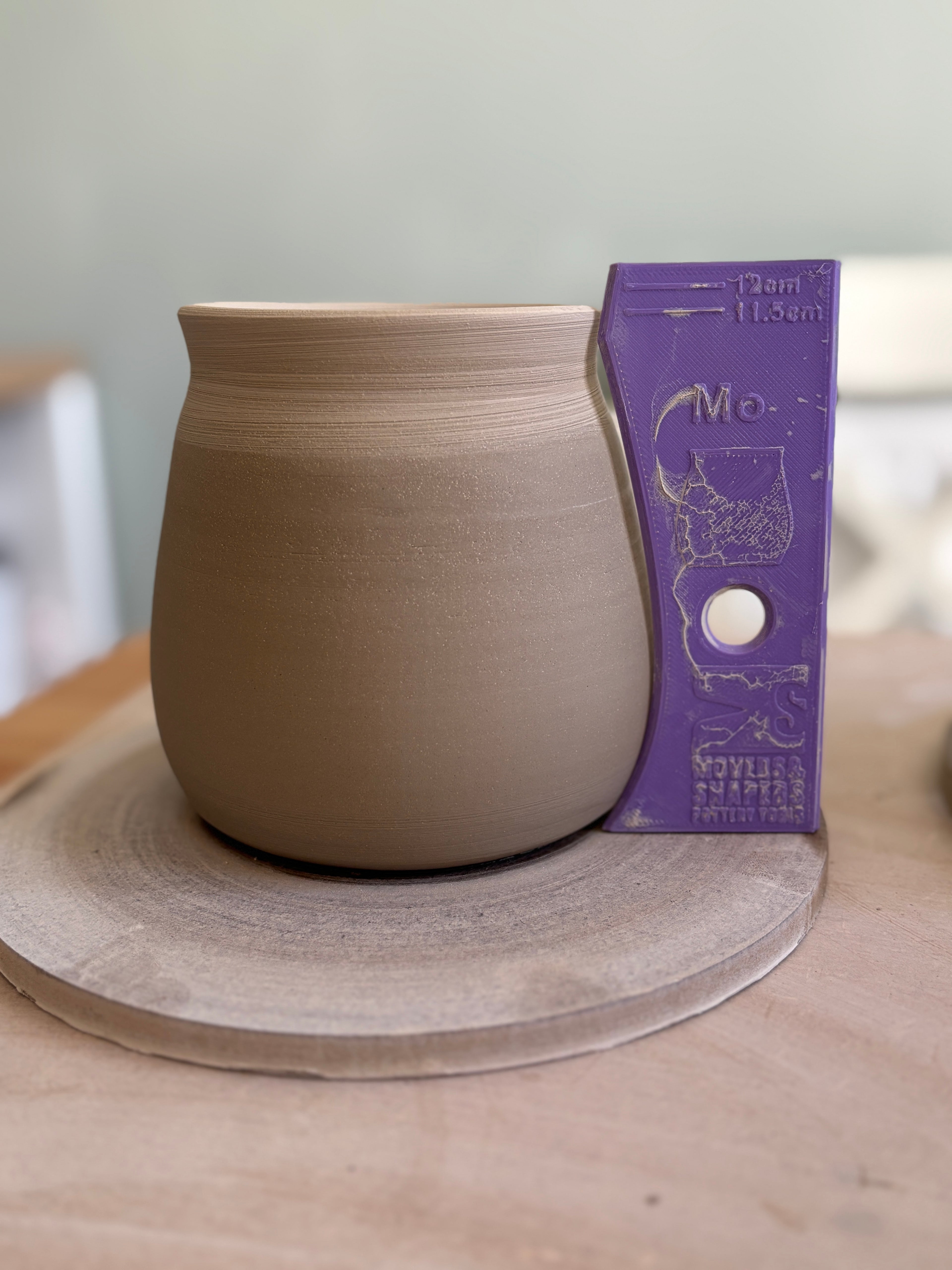 Vase Rib Bundle