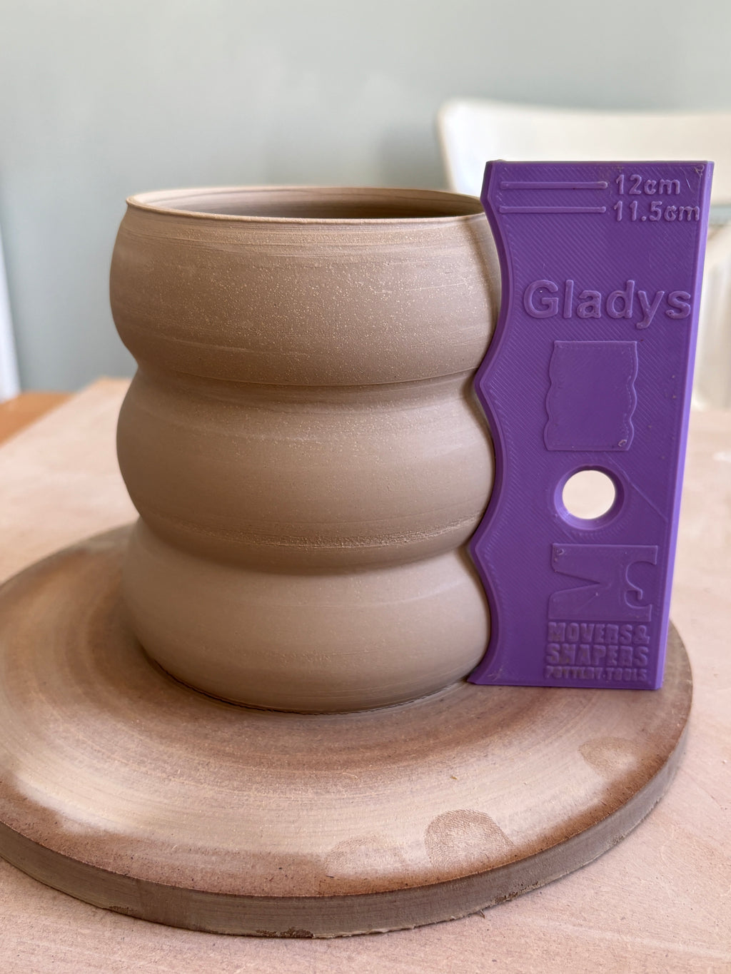 Vase Rib Bundle